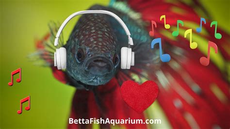 Do Better Fish Like Music? An Insightful Exploration into the World of Aquatic Melodies